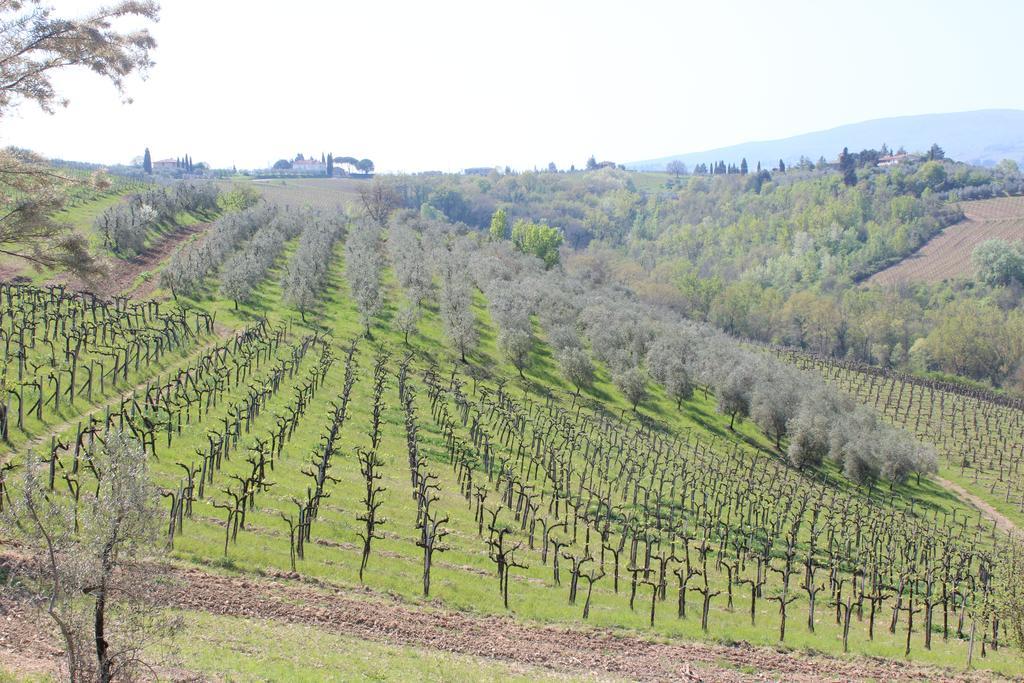 Bio Agriturismo Podere Pretoia San Gimignano Exterior foto
