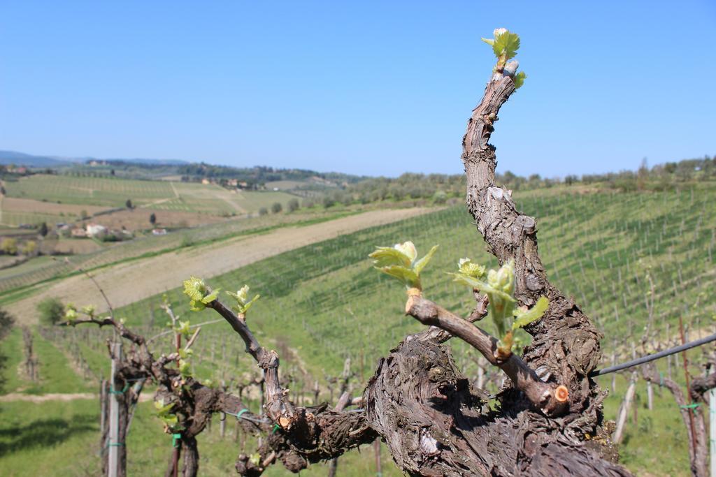 Bio Agriturismo Podere Pretoia San Gimignano Exterior foto